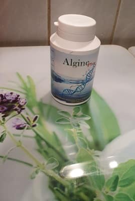 Algine Plus