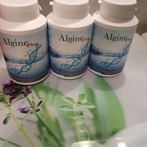 Algine Plus