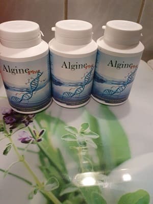 Algine Plus