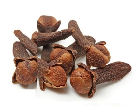 Clous de Girofle Huile essentielle BIO