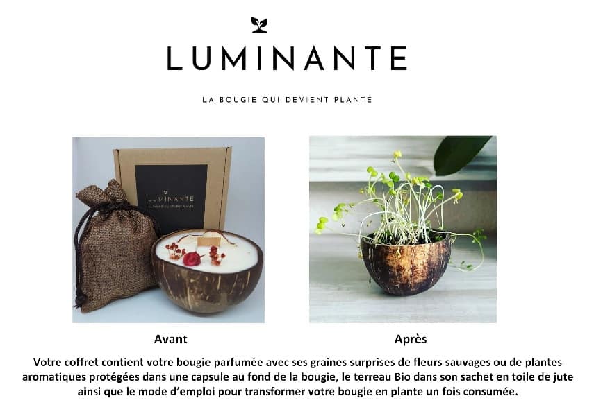 La Coco Coffret Bougie Pomme d'amour