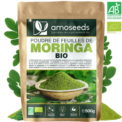 Poudre de Moringa Bio